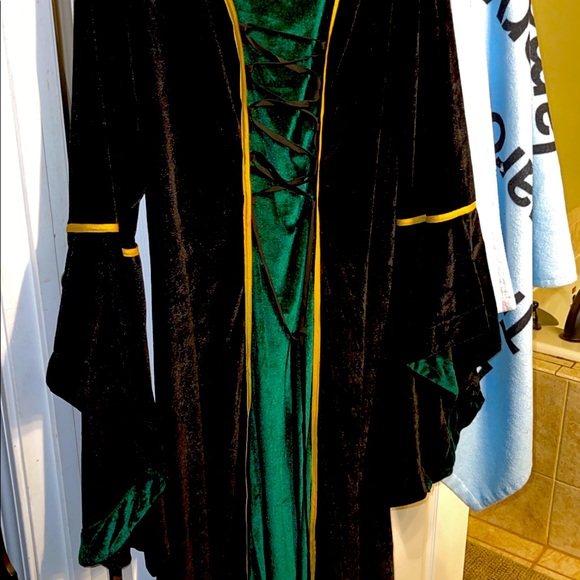 PRINCESS FIONA (2x) (movie Shrek) Curvy FABULOUS HALLOWEEN WON CONTEST COSTUME‼️ - Picture 4 of 12